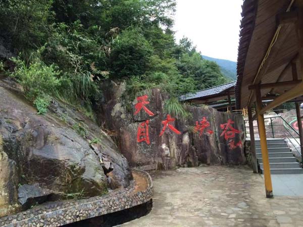 上海市律师事务所为您解答违法使用公司资金造成公司状况恶化如何处理