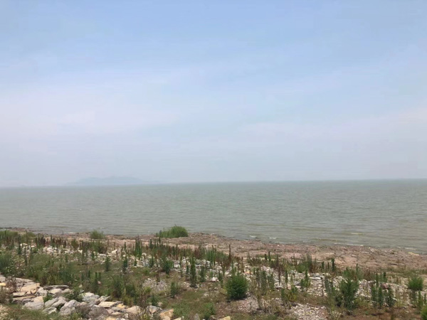 受托人将他人财产侵占怎么办？青浦律师咨询告诉您