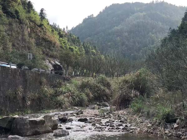 借贷合同中出现哪些约定法院不支持？上海法律咨询为您介绍