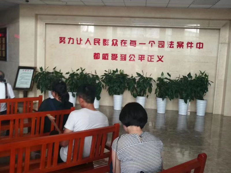上海律师以案析法：搭“顺风车”出了交通事故，司机赔不赔？