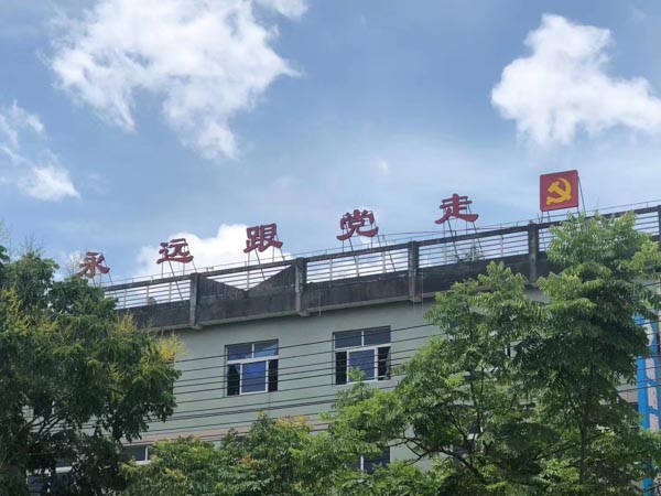 贪污共犯有哪些形式？上海经济犯罪律师为您解答