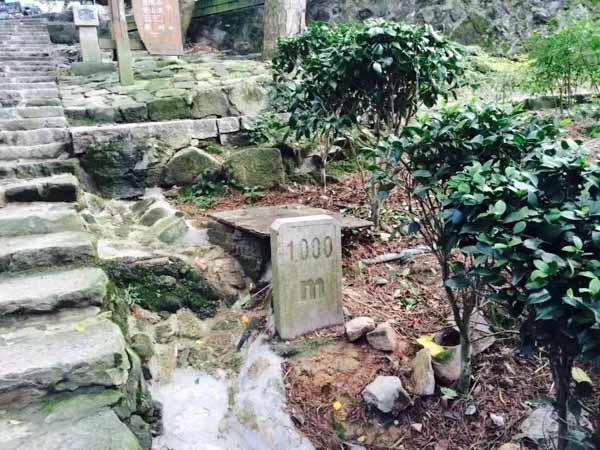 产生交通事故怎么赔偿？静安律师为您讲解